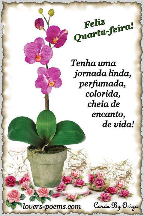 Feliz Quarta-feira!